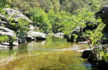Magnifique villa au cœur des Cévennes - Foto 41