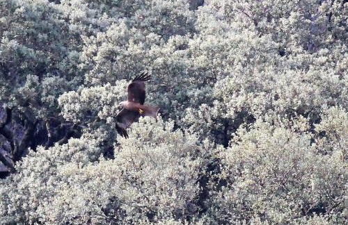 A Casa da Eira - Foto 14