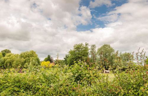 Dog friendly cottage on the edge of the Norfolk Broads - Foto 64