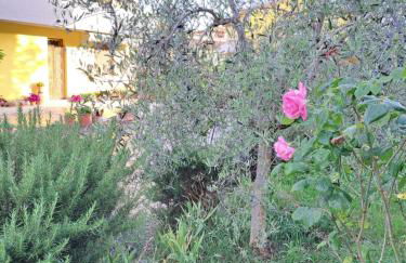 Casa Gli Ulivi - Foto 4