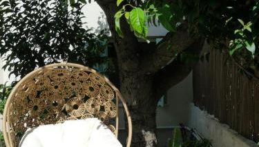 Le jardin du port - Foto 3, Garden