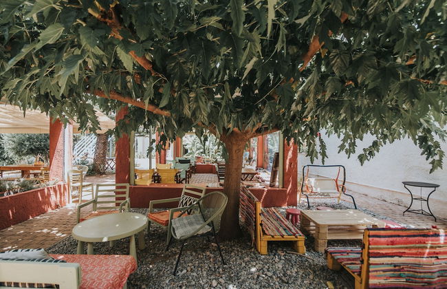 Saronis Hotel Agistri - Adults Only - Foto 41