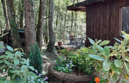 Le gîte de la cabane de l'oiseau - Foto 11