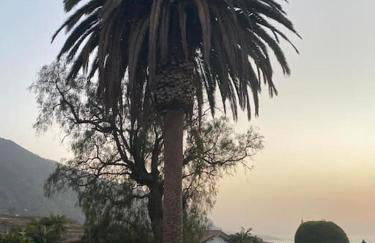 Exotic Ocean View Apartment - Foto 40