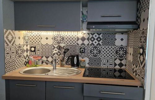 PORT LA FORET T2 avec jardin 300m de la plage - Foto 26