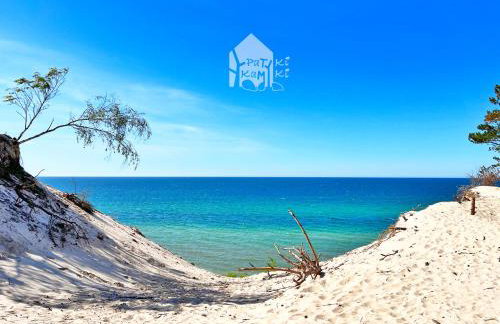 Patyki Kamyki - Foto 77