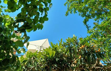 Villa Frantina - Foto 43