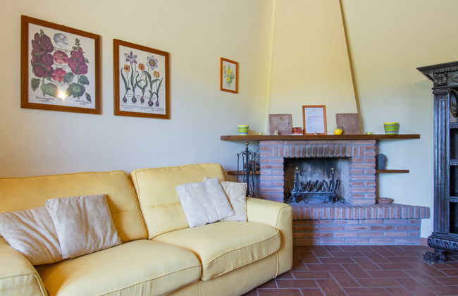 Cedri Alti - Photo 8