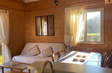 Cottage 19 Bulle Der jusque 8 Personnes vue Lac du Der - Foto 3