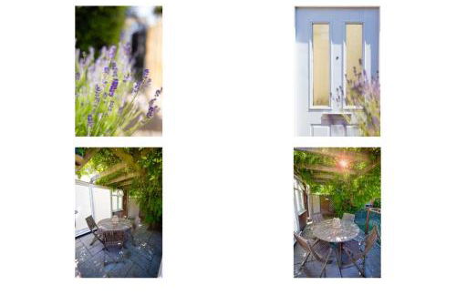 Shoreline hideaway - next to the beach - Foto 6