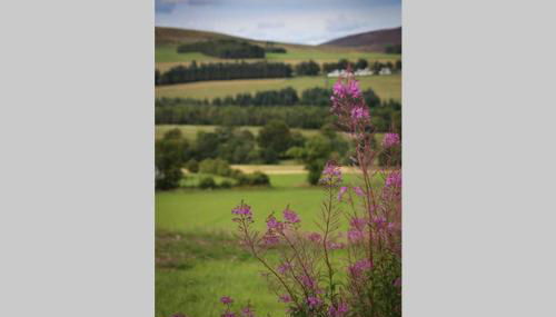 Isla Pod, Kilry eco pods - Foto 4