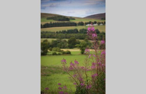 Isla Pod, Kilry eco pods - Photo 4
