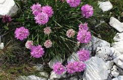 Casa Tiziano e Nila - Photo 37