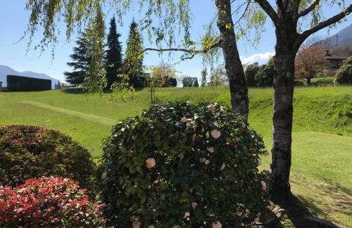 Le Betulle - Foto 49