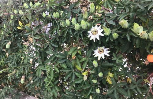 Casa Vacanza TDL - Foto 32