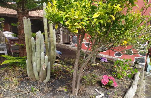 Casa Rural Amapola - Foto 25