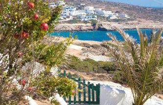 Pahivouni Studios & Suites - Photo 68