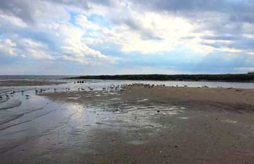 Charming Seaside Cottage Rental on Delaware Bay, New Jersey - Foto 11