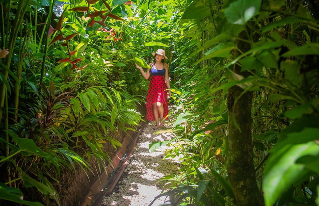 Vista Oceana, Stunning Ocean View Villa - Foto 41