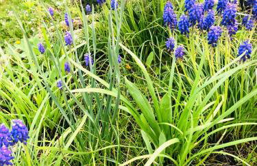 Ferienwohnung Feldmann - Foto 32