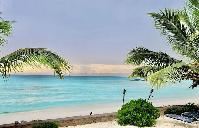 The Suite Life - Foto 44