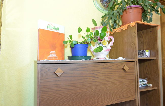 Holiday Home in Neustadt am Rennsteig With Pond - Foto 53