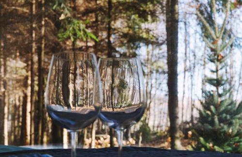 Odpoczynek Domki Pod Dębem z Opcją Jacuzzi - Foto 33