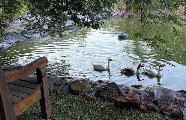 Pousada Vila Felicita - Foto 63