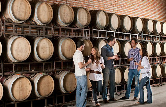 Premium Weinroute – Private Tour - Foto 1