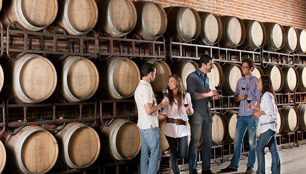 Premium Wine Route - Private Tour - Photo 1