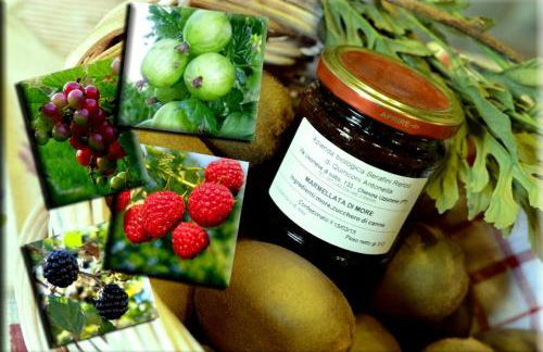 Agriturismo Podere dei kiwi - Foto 41