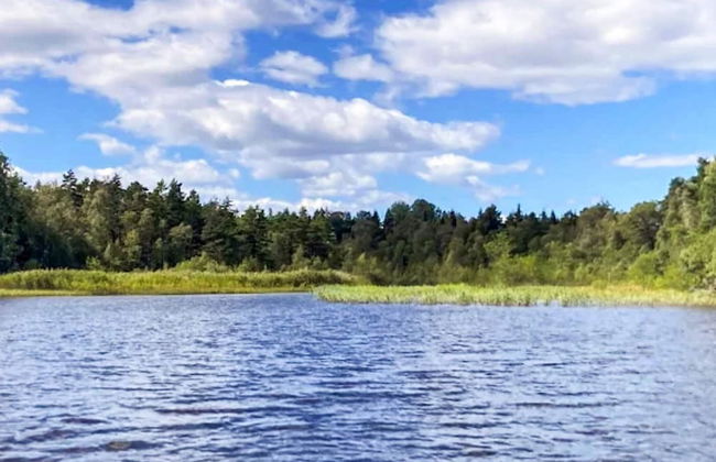 4 Person Holiday Home in Granna-by Traum - Photo 49