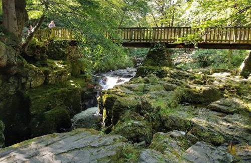 Sarsa Cottage Ballynahinch - Foto 7