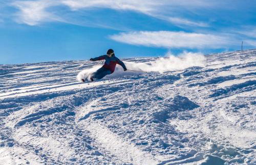 Ferienwohnung "Bergzeit" in Feldberg- Falkau - Foto 15