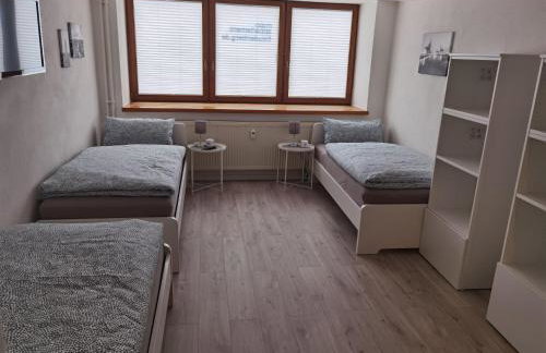 Main Appartement-Haus - 97896 Freudenberg - Foto 11