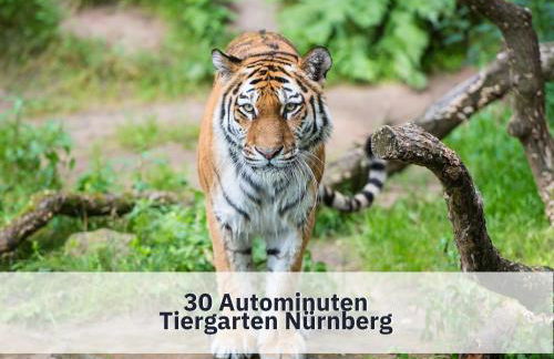 Ferienhaus Rothsee-Oase ideale Ausgangslage mit tollem Ausblick, Sauna und privatem Garten - Foto 53