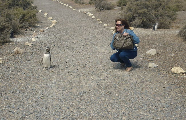 Cabañas Las Brisas - Photo 33