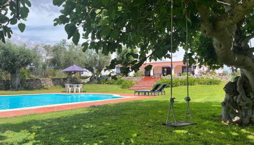 Casa de Campo, Quinta do Funchal - Foto 5, Garden, sunbed, Garden view