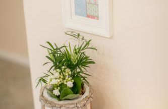 Ferienwohnung Landhaus Swisttal - In der Nähe Phantasialand Brühl und Palmenparadies Therme Euskirchen - Foto 2