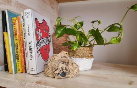 Céntrico Especial Familias Nuevo - Foto 32