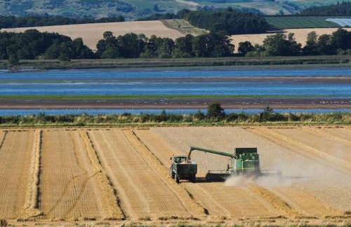 The Furze Farmhouse near St Andrews - Photo 58