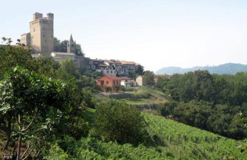 Cà Mia - Casa vacanze nelle vigne del Barolo - Foto 16