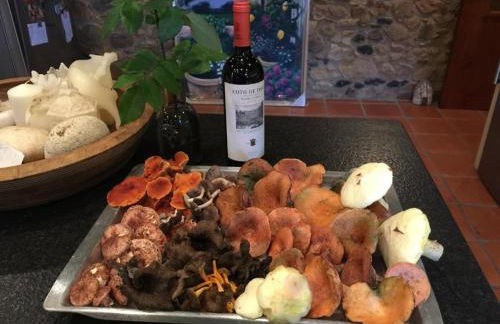 Más Figueres - Foto 60