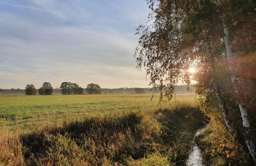 Modernes Ferienhaus nahe Spreewald-Idylle - Foto 29