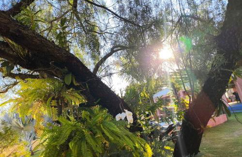 Recanto quatro estacoes - Foto 34