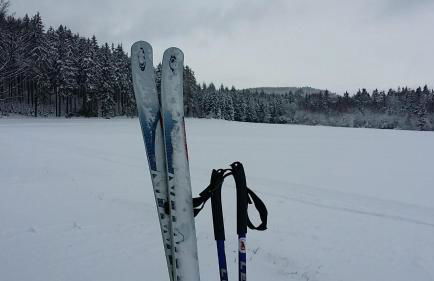 Urlaubsdomizil Am Töpfer - Ferienwohnungen in Olbersdorf - Foto 77