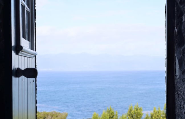 Adegas do Pico - Foto 40