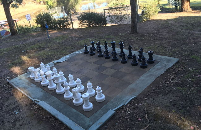 The Black Sparrow - Photo 60