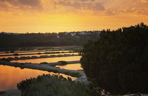 Herdade d'Amoreira Rosmaninho Studio - Foto 46