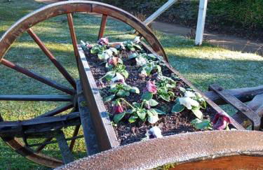 Magia das Hortênsias - Natureza, Hidromassagem e Muita Tranquilidade! - Foto 35